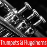 Step Up Trumpets, Cornets & Flugelhorns